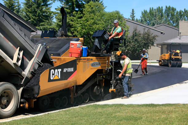 Best Driveway Paving Contractor  in Muleshoe, TX